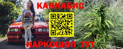 крисы Апшеронск