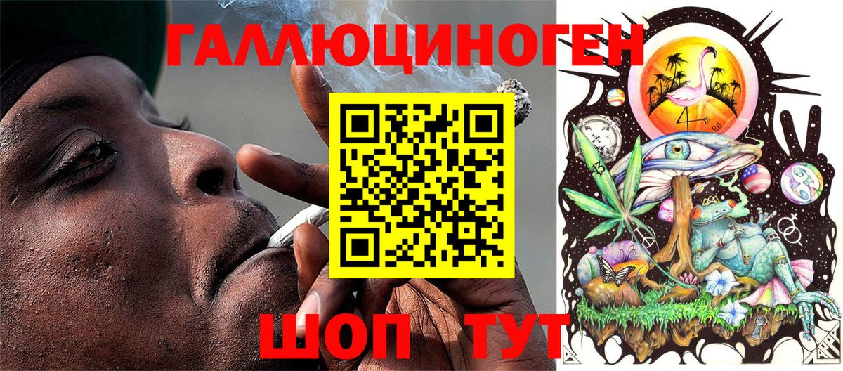 Галлюциногенные грибы GOLDEN TEACHER  Вход с VPN  купить наркотики сайты  Брянск 